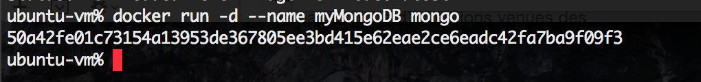 Running a named MongoDB container